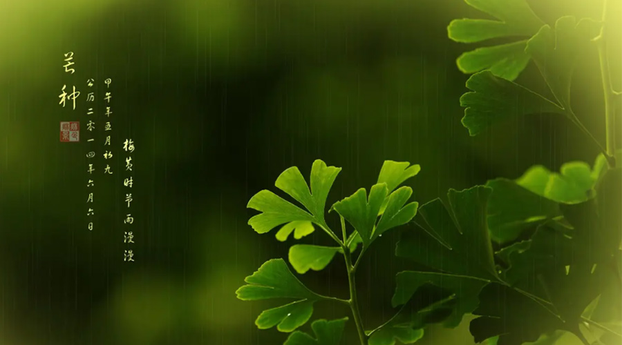 芒種時(shí)節(jié)！金環(huán)電器提醒大家的注意事項(xiàng)
